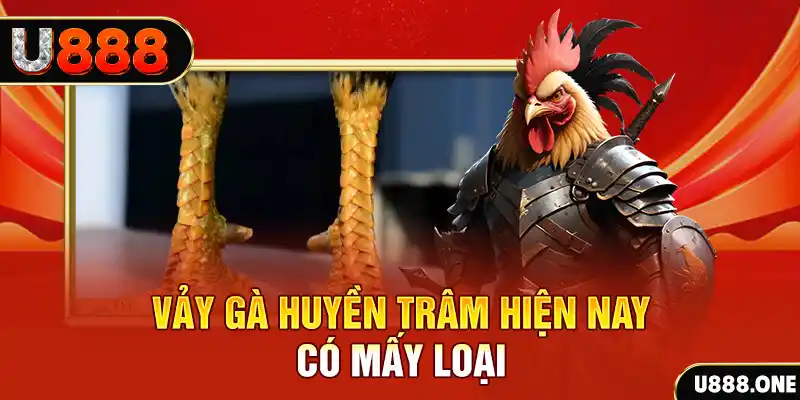 ee88ap máy tính online casino